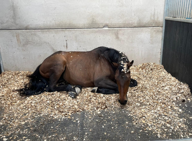 9803255c b314 4fc7 862b d3ad2009397b