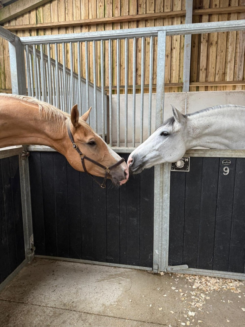 d0a8d48d 24f1 4895 89e5 238879d2f0a1